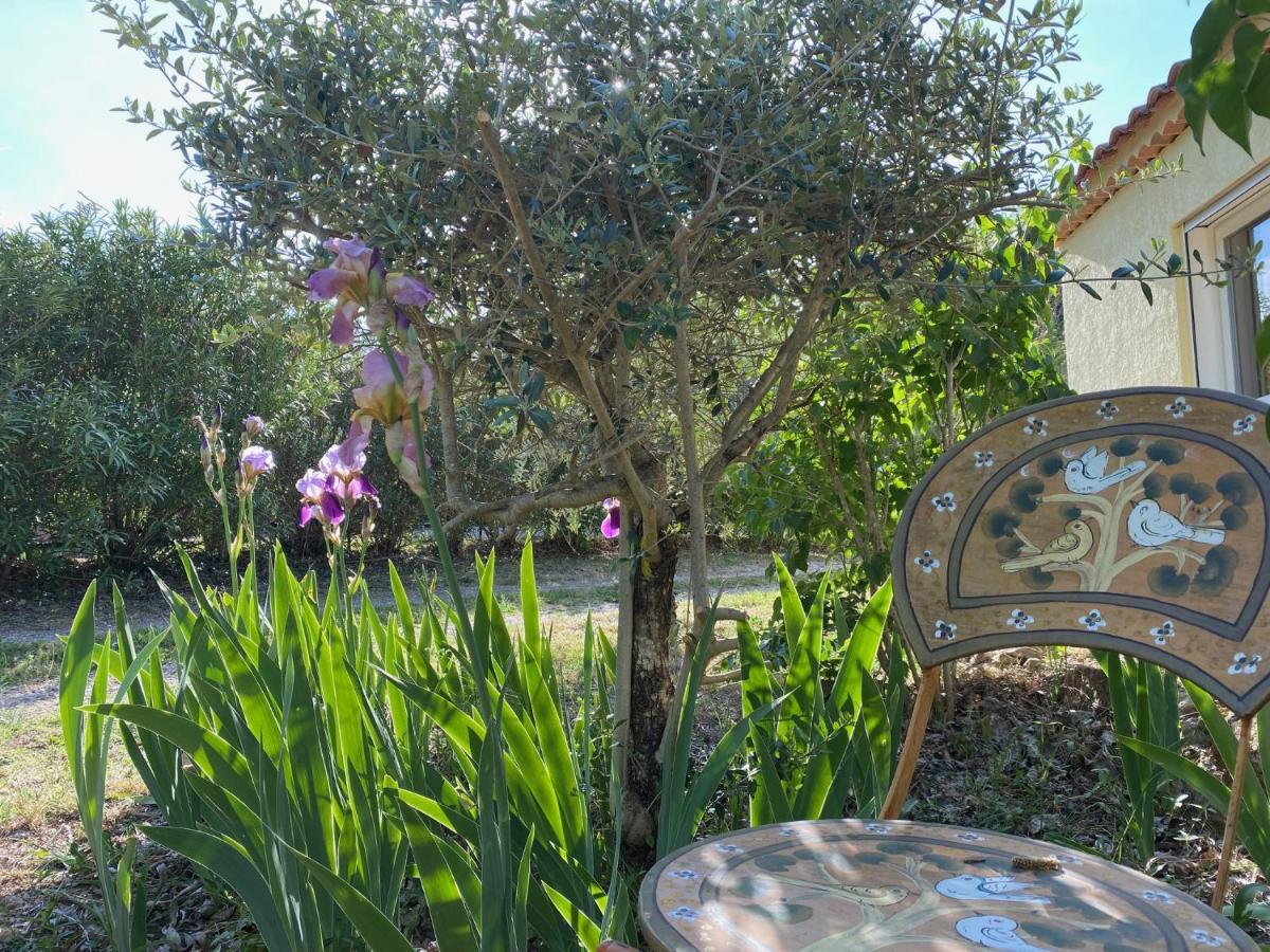 Bed and Breakfast L'Eveil En Provence Entrecasteaux Exterior foto